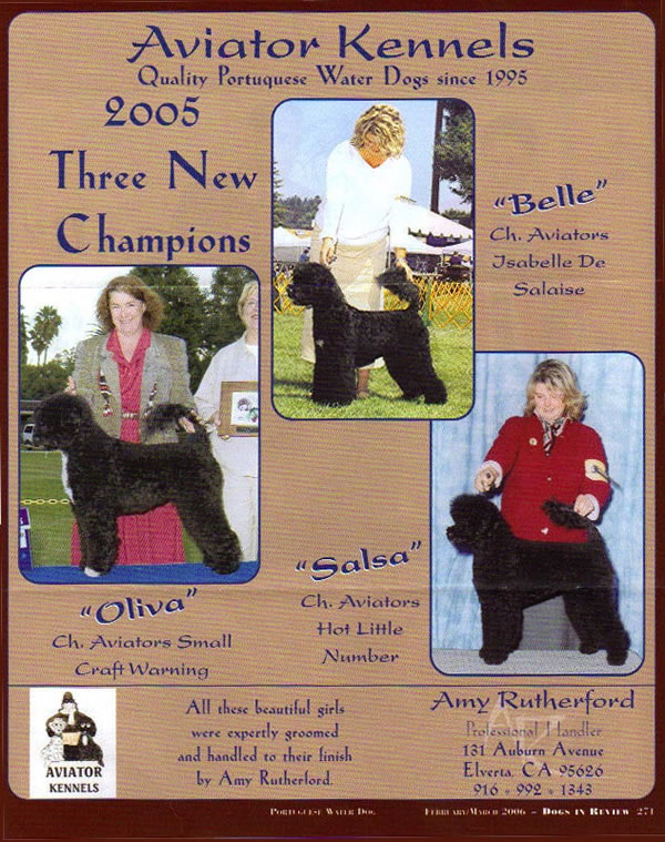 Three New Champions