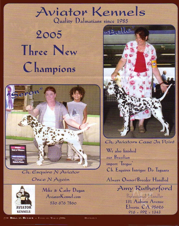 Dalmatians