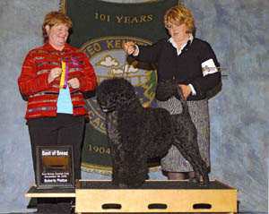 Judge Karen Arends