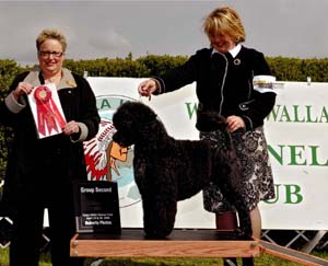 Judge Lisa DeRoulet