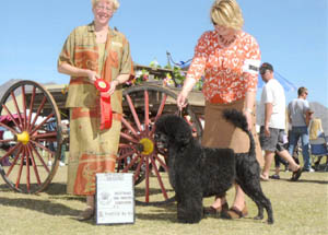 Judge Sharon Candace Way - Phoenix