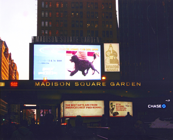 Madison Square Garden