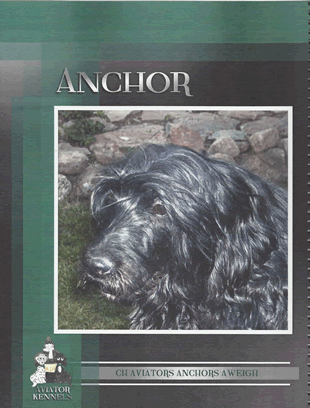 Anchors Aweigh Stud Dog