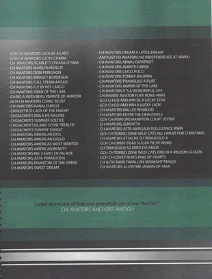 Anchors Aweigh Stud Dog